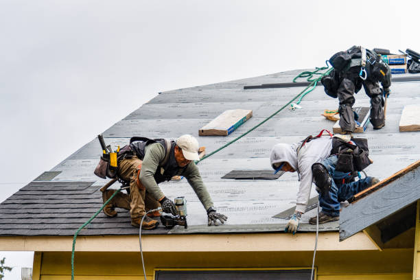 Professional Gutter Installation technician working in Sardis, MS